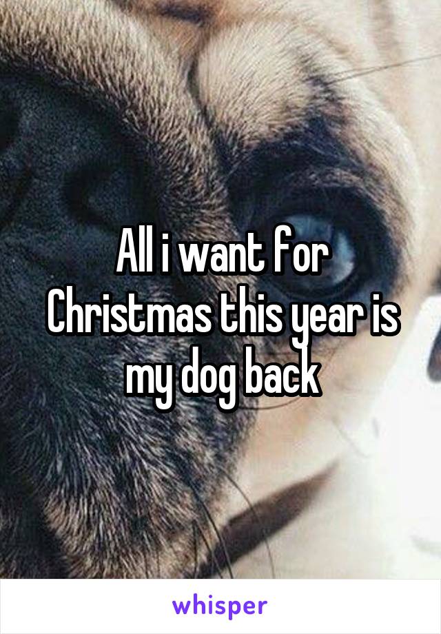 All i want for Christmas this year is my dog back