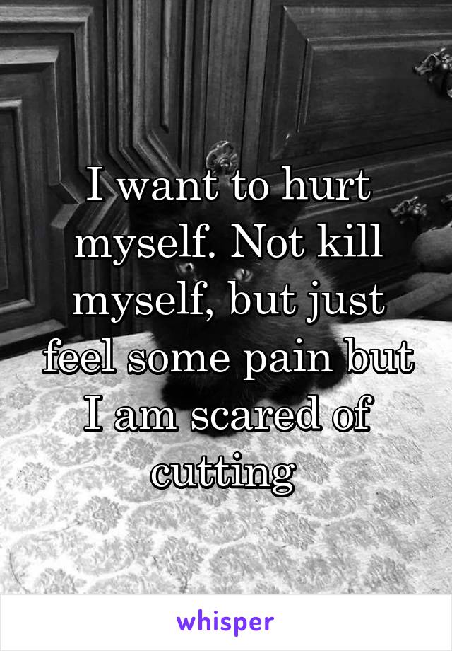 I want to hurt myself. Not kill myself, but just feel some pain but I am scared of cutting 
