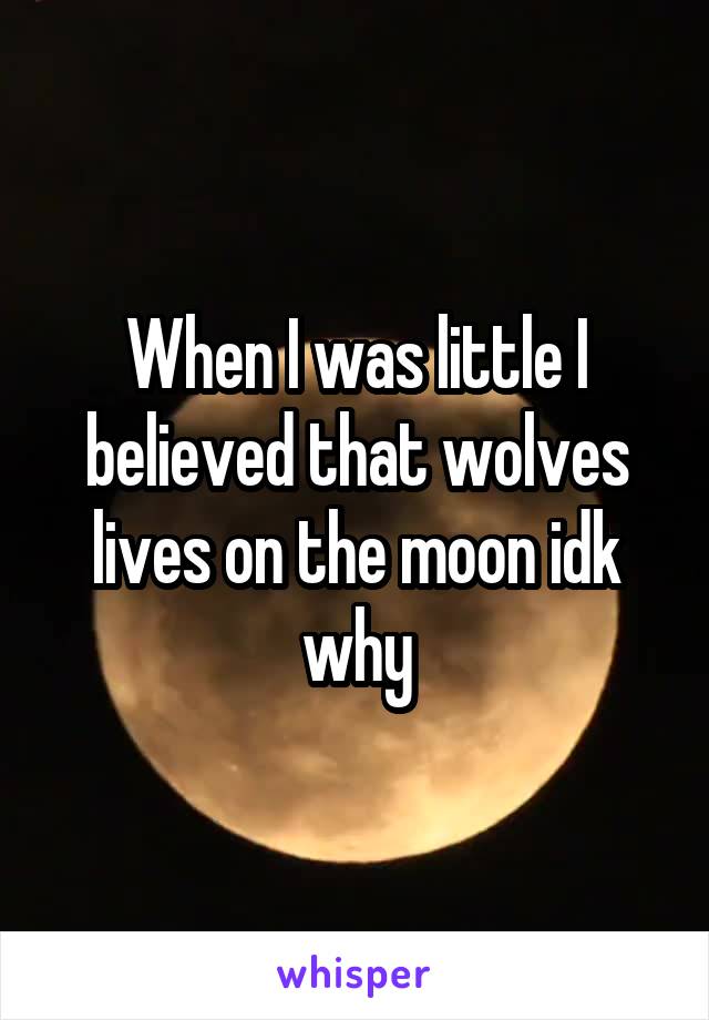 When I was little I believed that wolves lives on the moon idk why