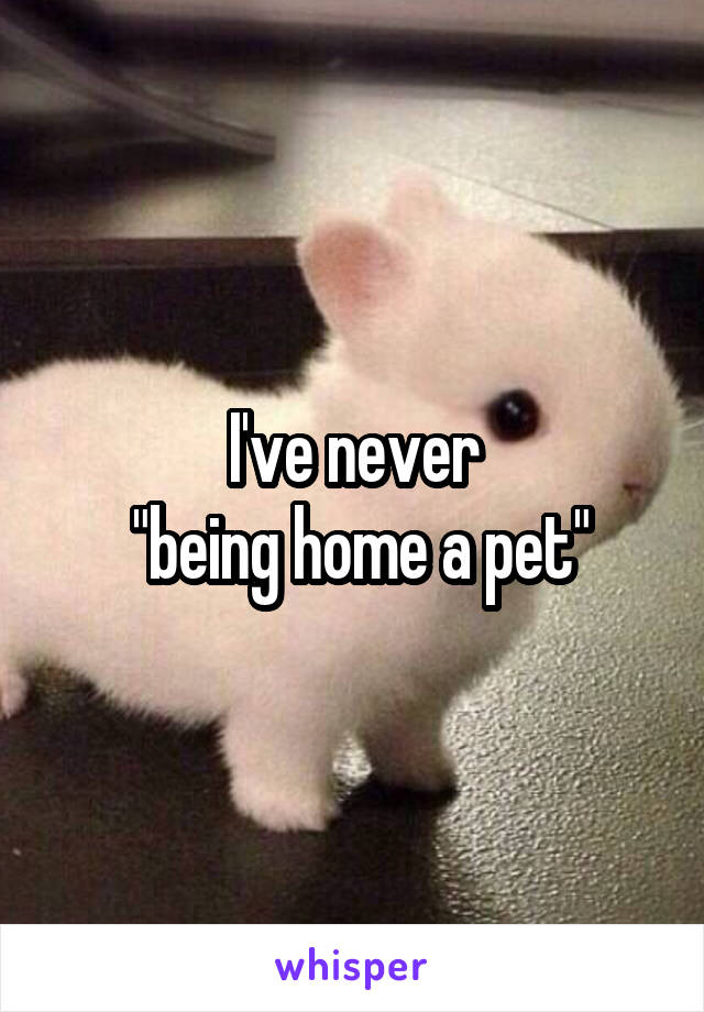 I've never
 "being home a pet"