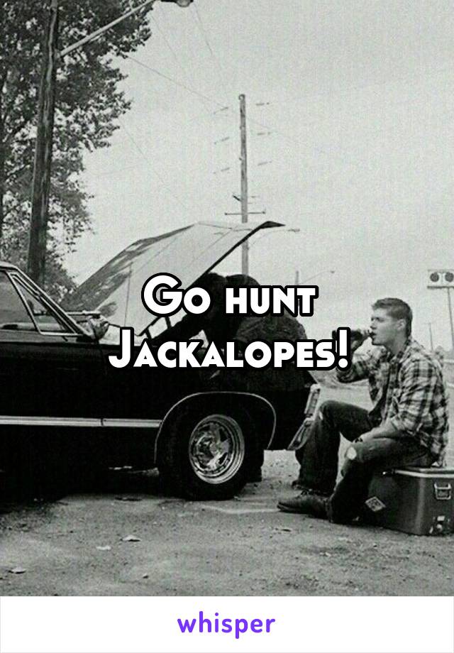 Go hunt
Jackalopes!