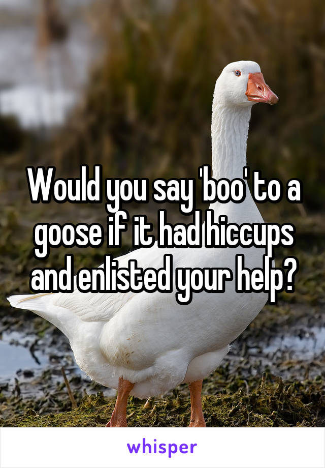 Would you say 'boo' to a goose if it had hiccups and enlisted your help?