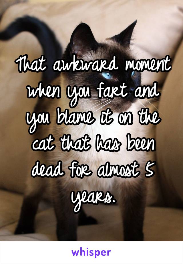 That awkward moment when you fart and you blame it on the cat that has been dead for almost 5 years.