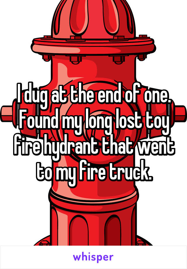 I dug at the end of one. Found my long lost toy fire hydrant that went to my fire truck.