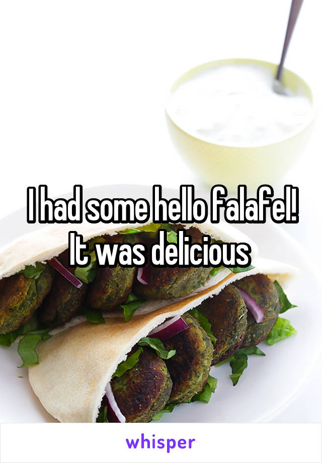 I had some hello falafel! It was delicious 