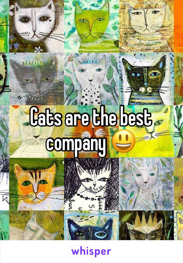 Cats are the best company 😃