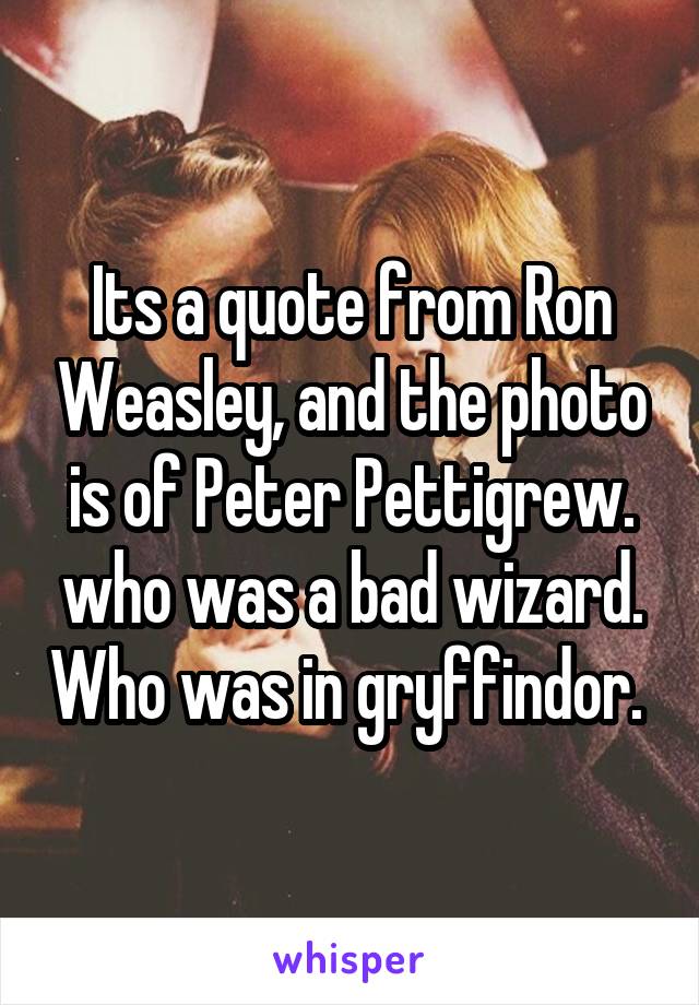 Its a quote from Ron Weasley, and the photo is of Peter Pettigrew. who was a bad wizard. Who was in gryffindor. 