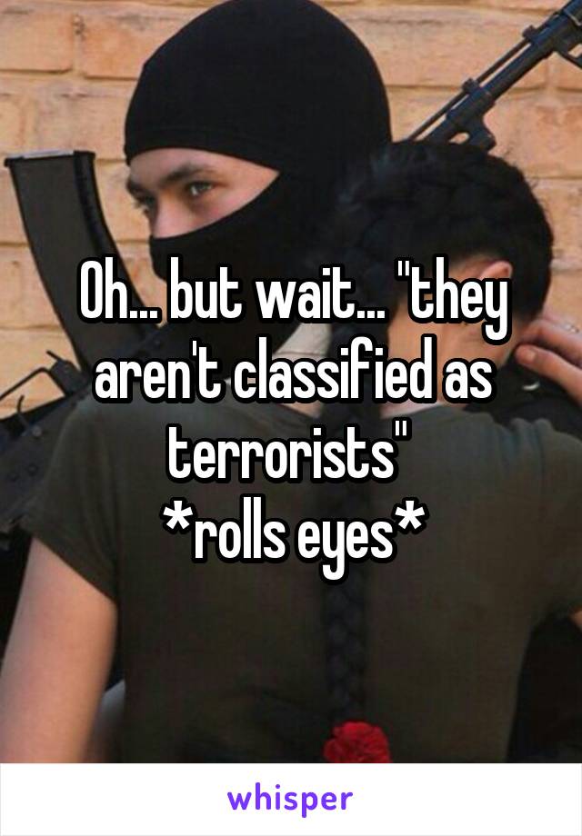 Oh... but wait... "they aren't classified as terrorists" 
*rolls eyes*