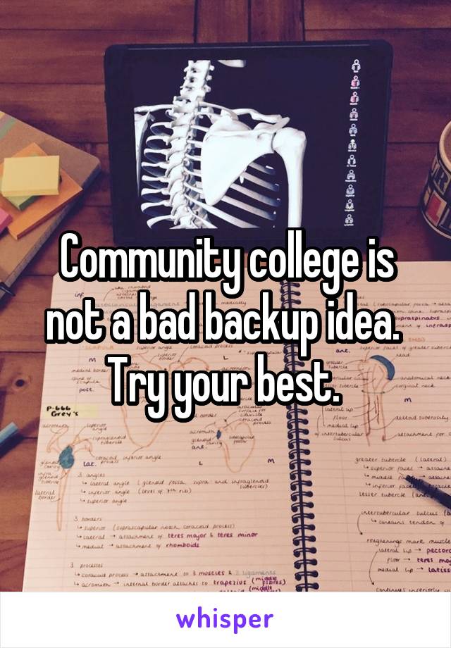 Community college is not a bad backup idea.  Try your best. 