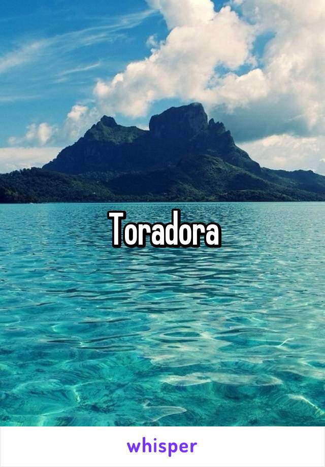 Toradora