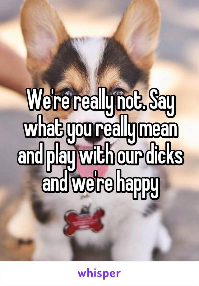 We're really not. Say what you really mean and play with our dicks and we're happy