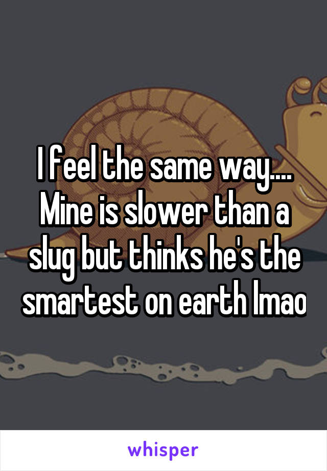 I feel the same way.... Mine is slower than a slug but thinks he's the smartest on earth lmao