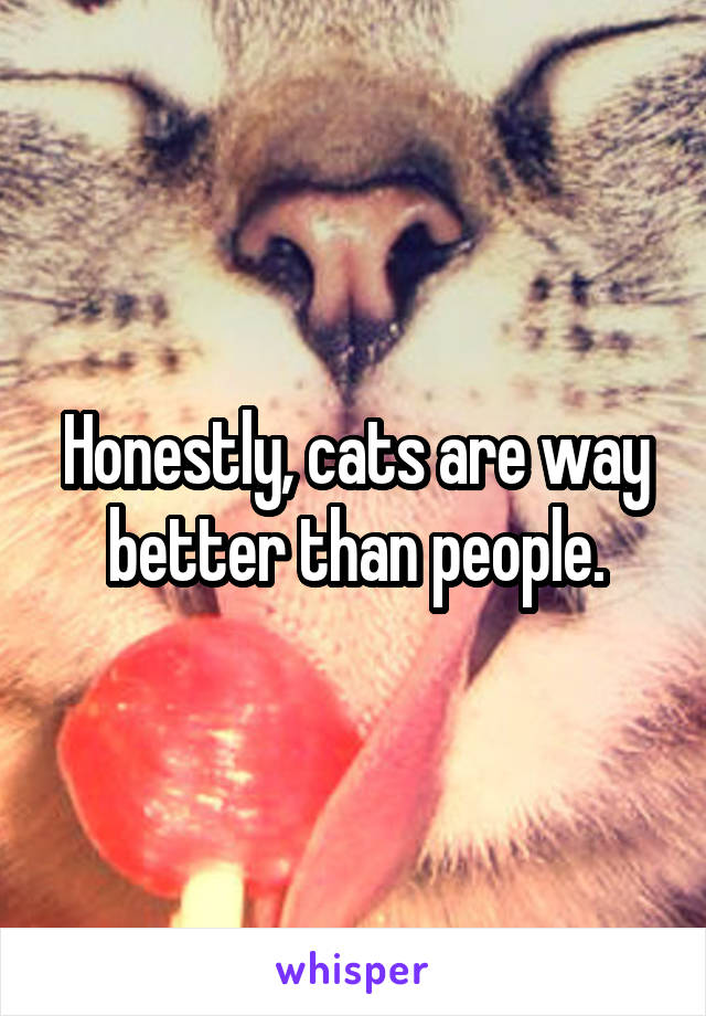 Honestly, cats are way better than people.