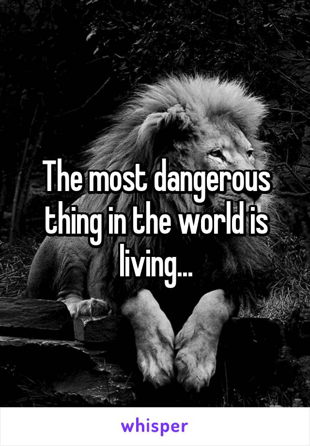 The most dangerous thing in the world is living...