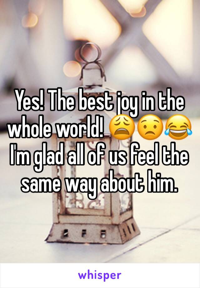 Yes! The best joy in the whole world! 😩😟😂
I'm glad all of us feel the same way about him.