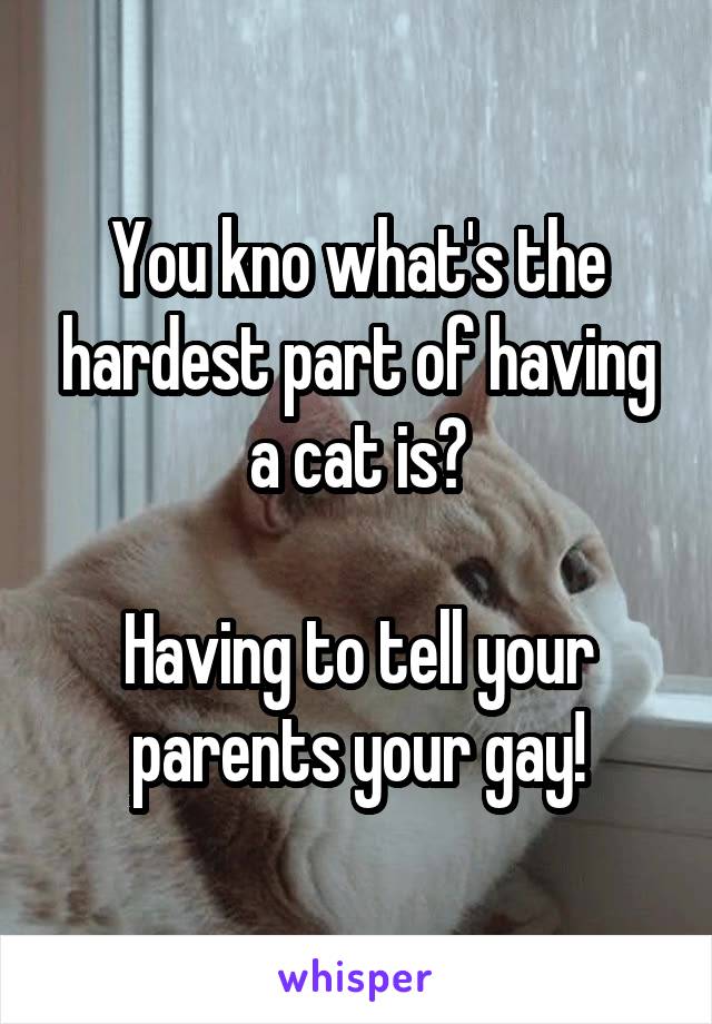 You kno what's the hardest part of having a cat is?

Having to tell your parents your gay!