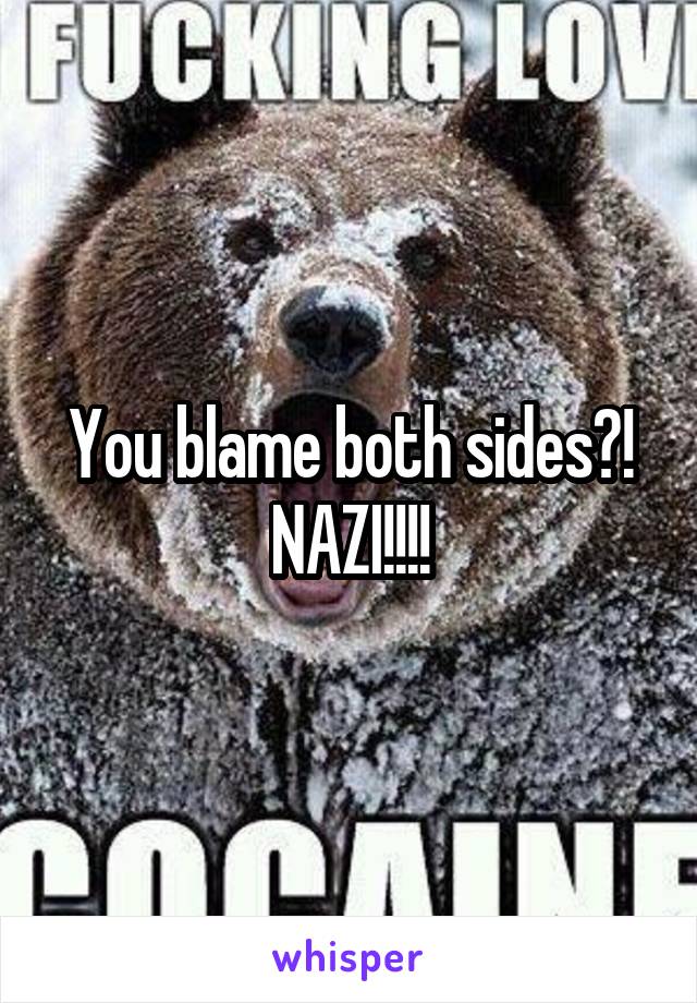 You blame both sides?! NAZI!!!!