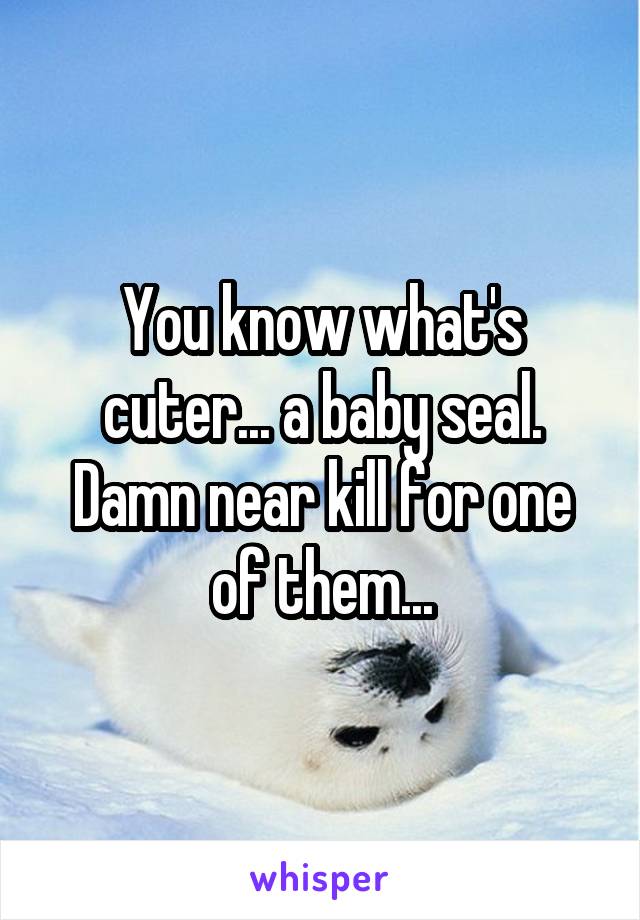 You know what's cuter... a baby seal. Damn near kill for one of them...