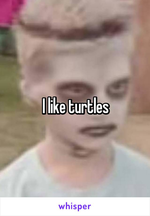 I like turtles