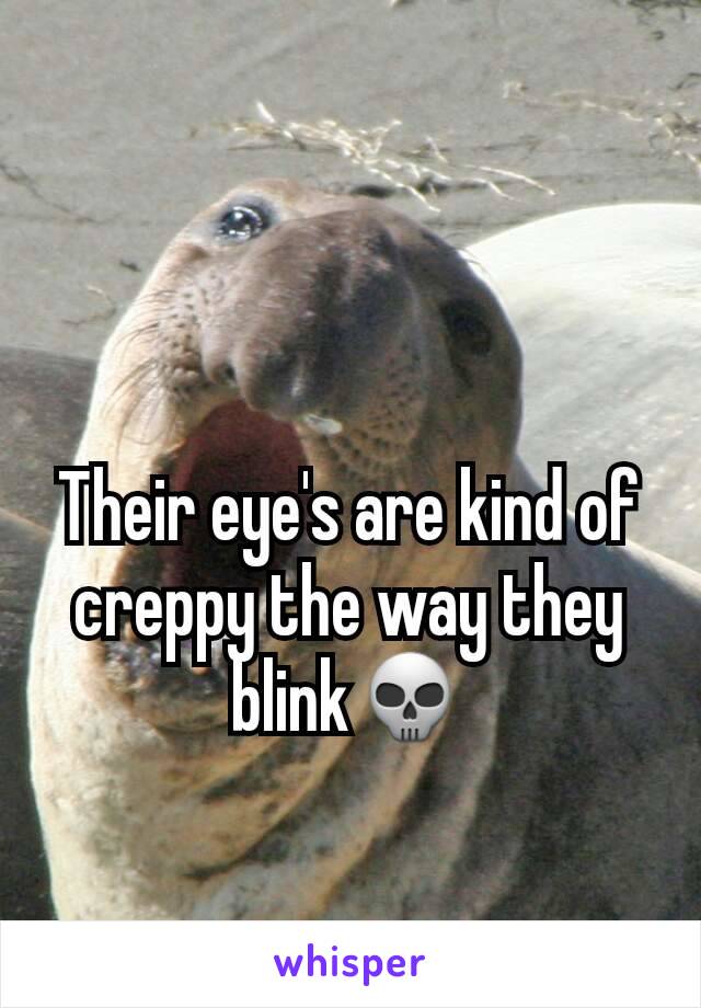 Their eye's are kind of creppy the way they blink💀