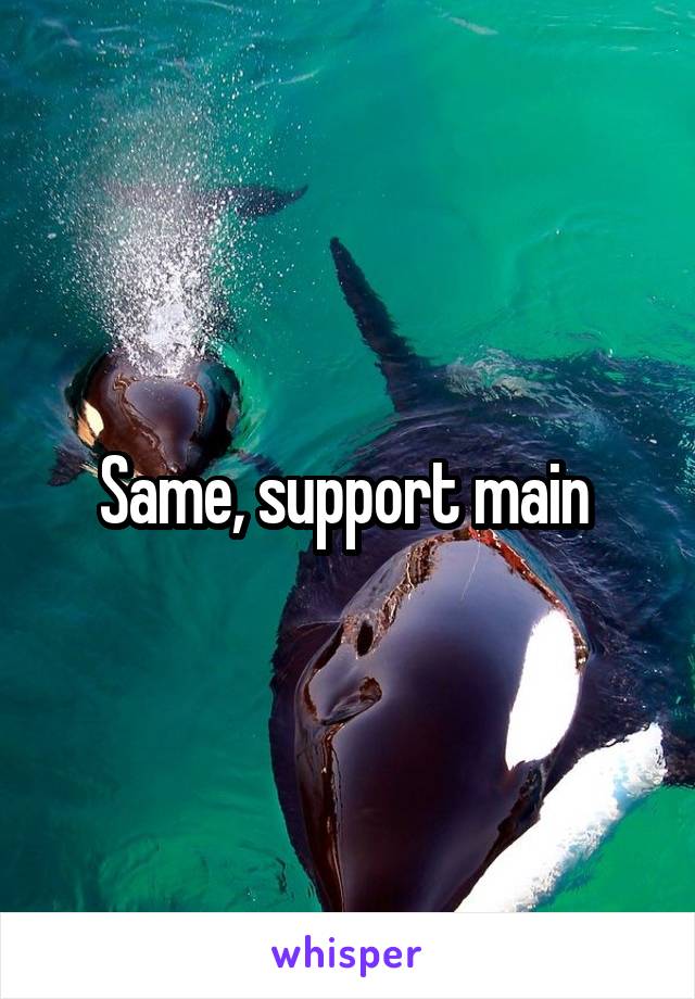 Same, support main 