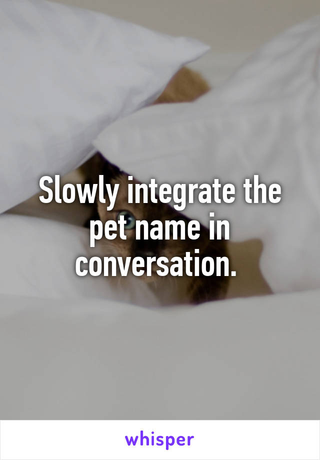Slowly integrate the pet name in conversation. 