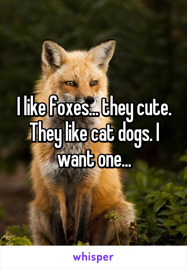 I like foxes... they cute. They like cat dogs. I want one...