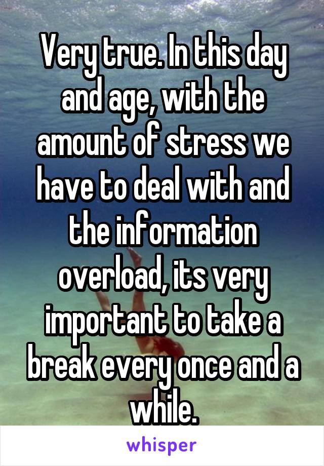 Very true. In this day and age, with the amount of stress we have to deal with and the information overload, its very important to take a break every once and a while.
