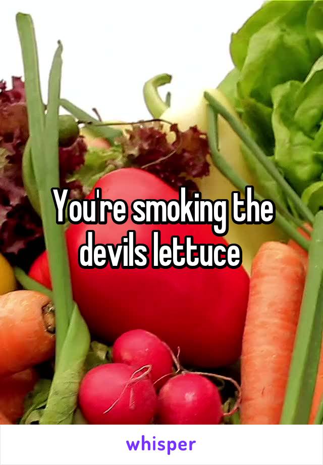 You're smoking the devils lettuce 