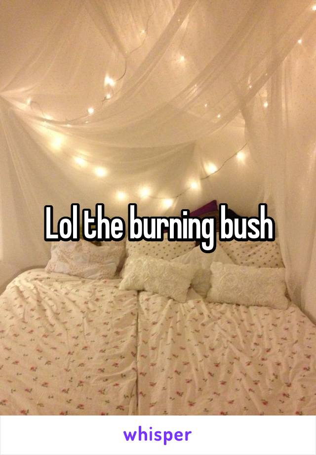 Lol the burning bush