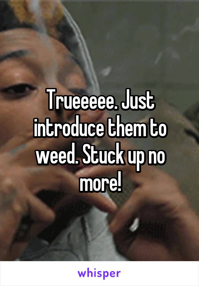 Trueeeee. Just introduce them to weed. Stuck up no more!