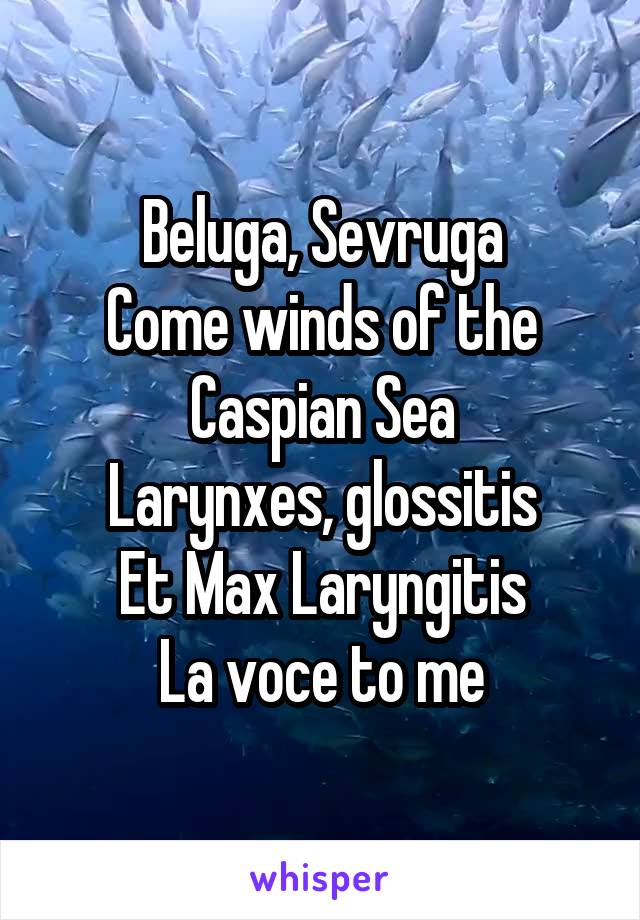 Beluga, Sevruga
Come winds of the Caspian Sea
Larynxes, glossitis
Et Max Laryngitis
La voce to me