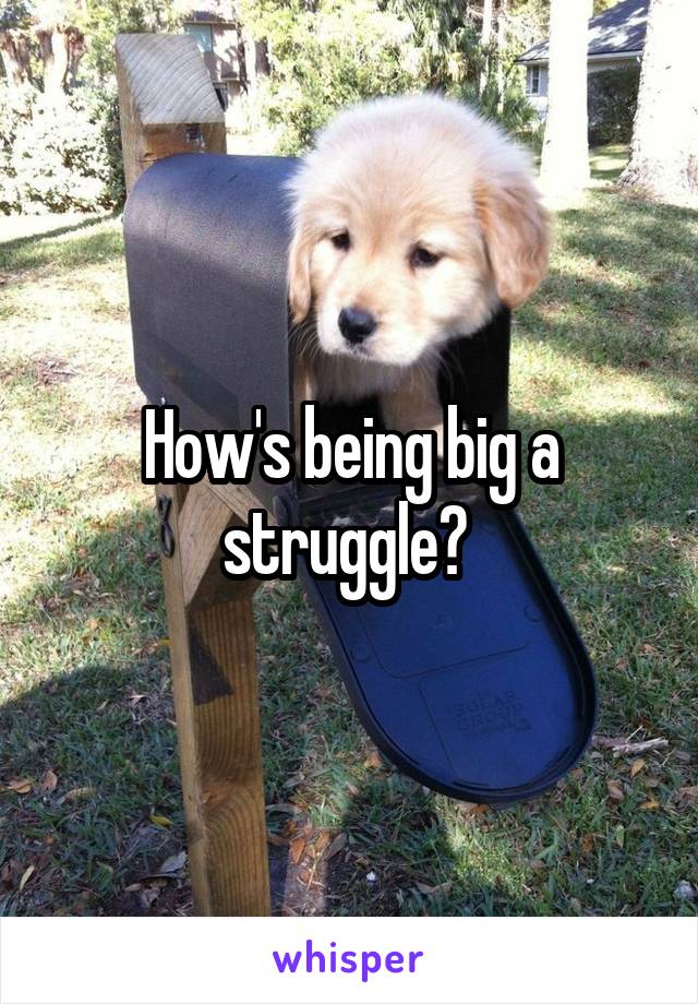 How's being big a struggle? 