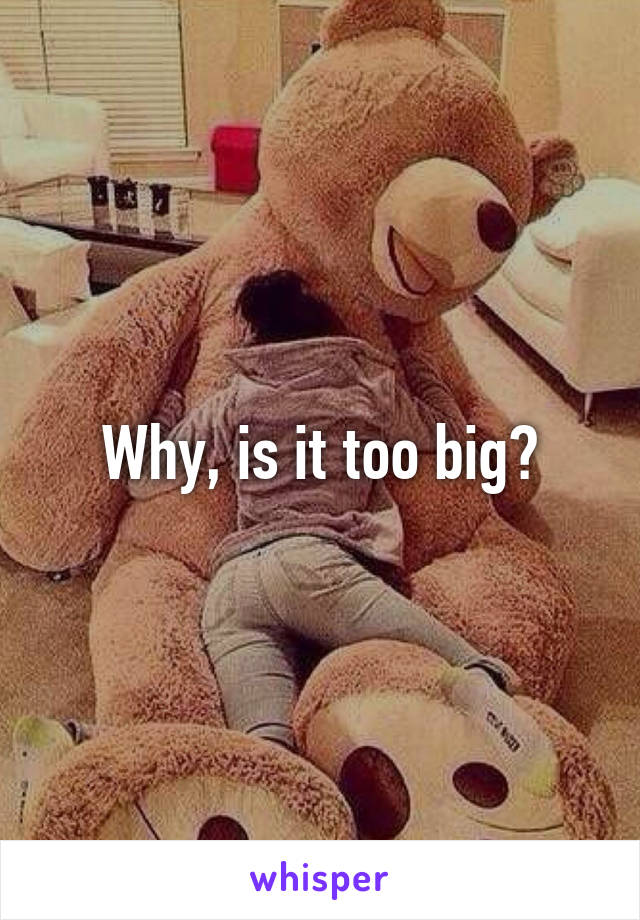 Why, is it too big?