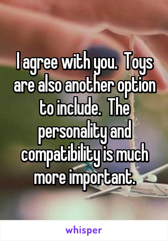 I agree with you.  Toys are also another option to include.  The personality and compatibility is much more important.