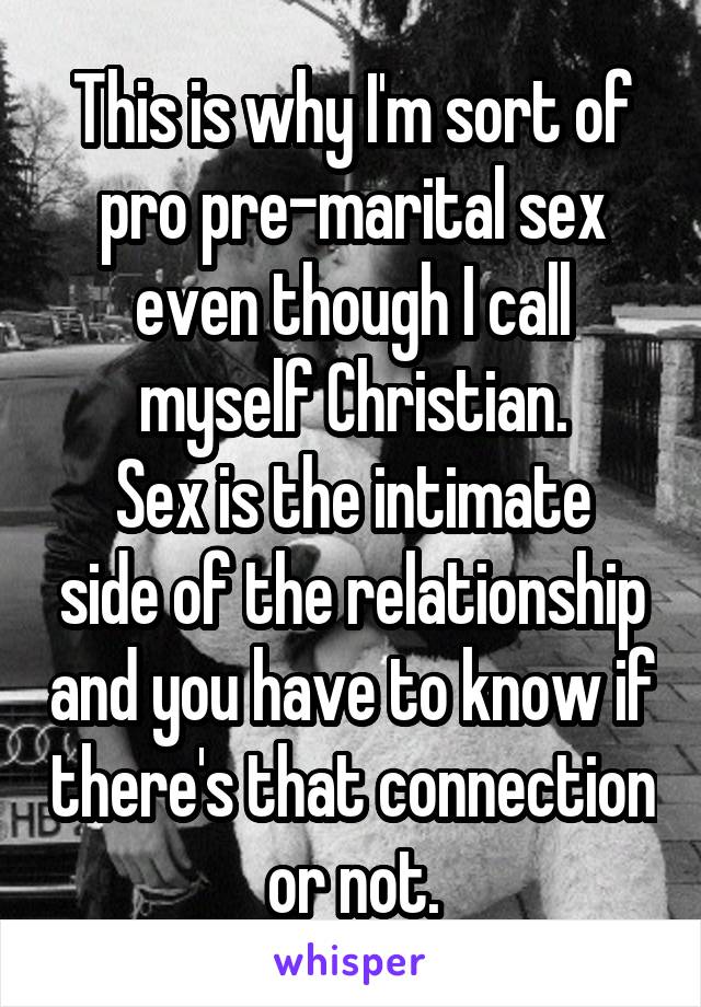 This is why I'm sort of pro pre-marital sex even though I call myself Christian.
Sex is the intimate side of the relationship and you have to know if there's that connection or not.