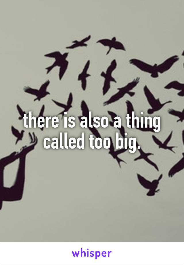 there is also a thing called too big.