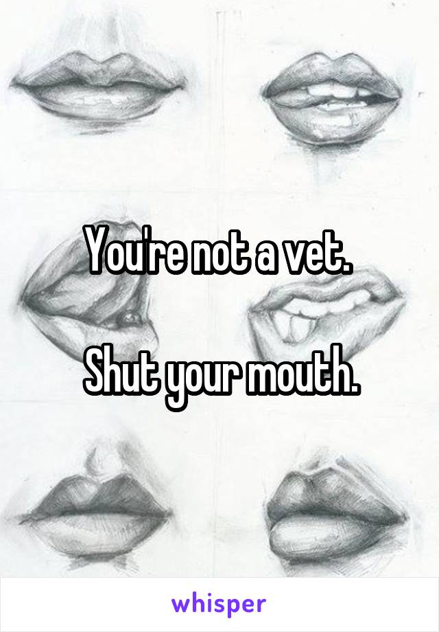 You're not a vet. 

Shut your mouth.