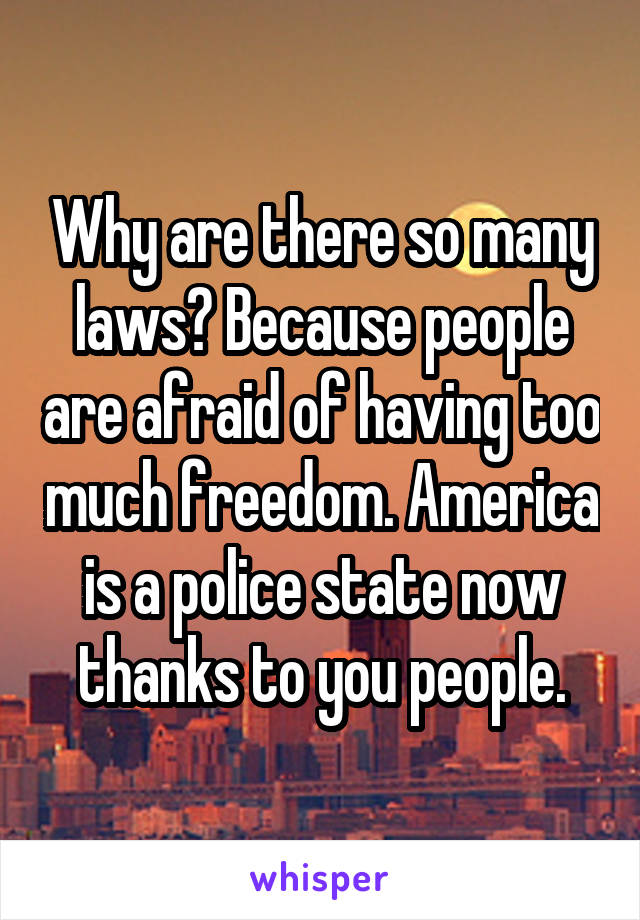 Why are there so many laws? Because people are afraid of having too much freedom. America is a police state now thanks to you people.