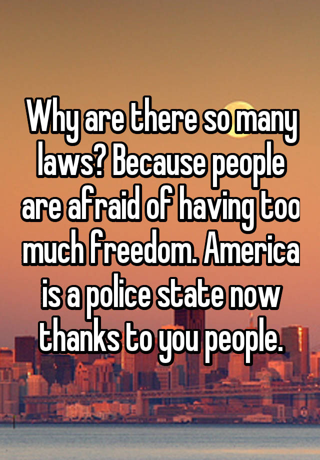 Why are there so many laws? Because people are afraid of having too much freedom. America is a police state now thanks to you people.