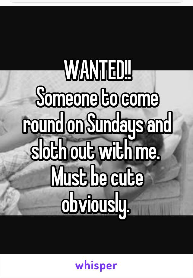 WANTED!!
Someone to come round on Sundays and sloth out with me. 
Must be cute obviously. 
