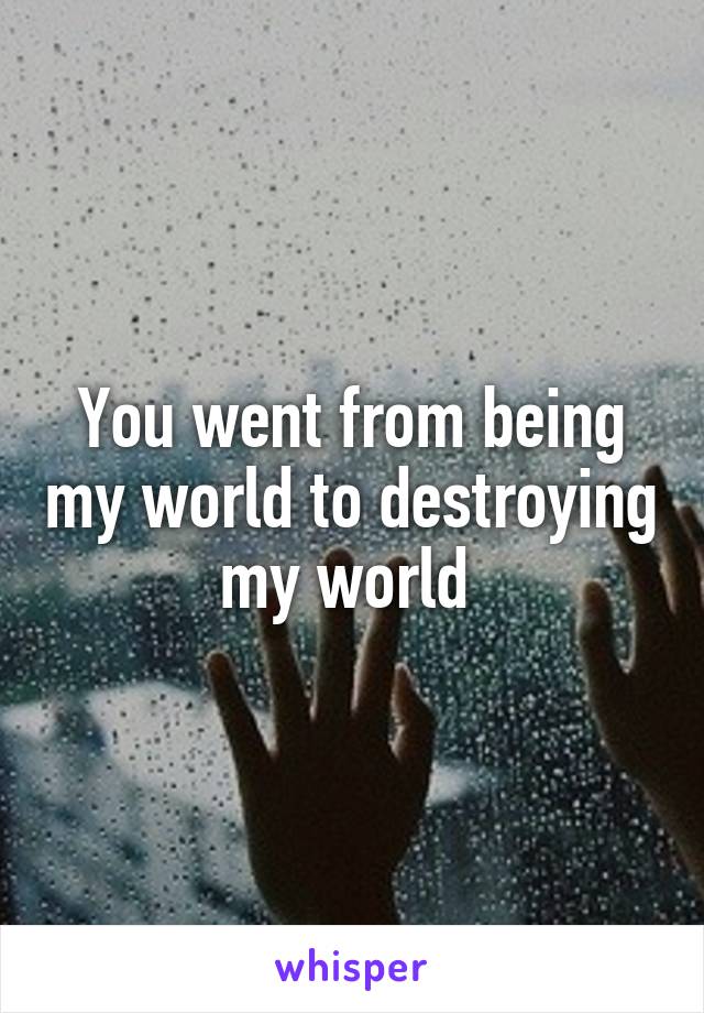 You went from being my world to destroying my world 