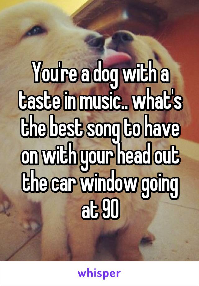 You're a dog with a taste in music.. what's the best song to have on with your head out the car window going at 90