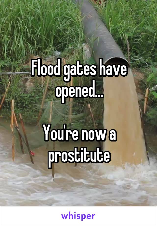 Flood gates have opened...

You're now a prostitute