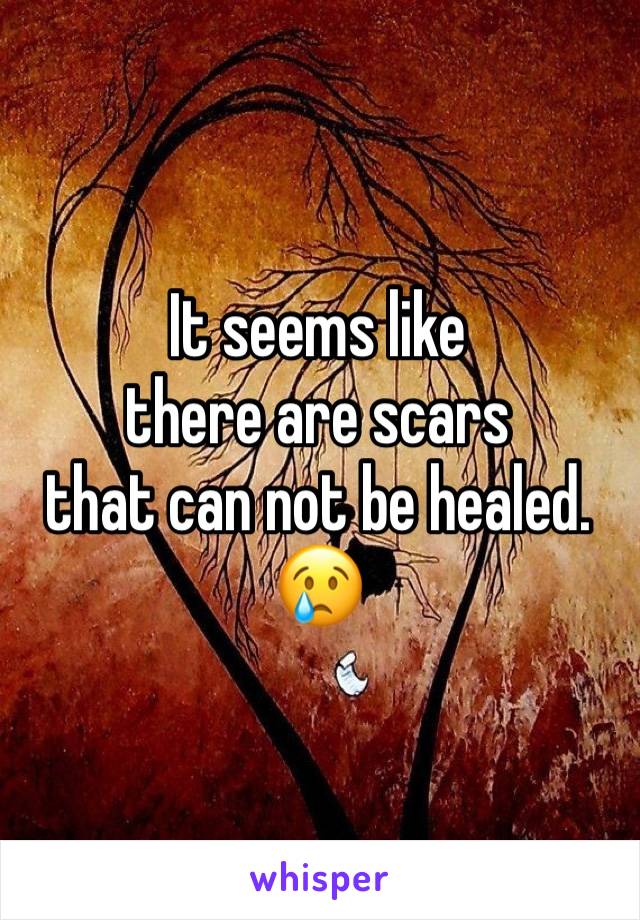 It seems like 
there are scars 
that can not be healed. 😢