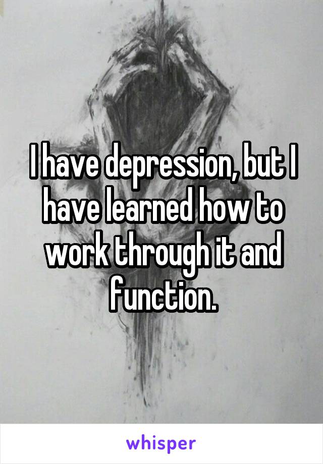 I have depression, but I have learned how to work through it and function.
