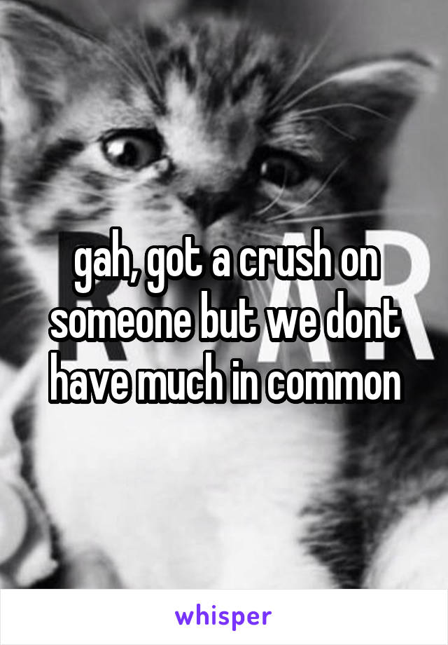 gah, got a crush on someone but we dont have much in common