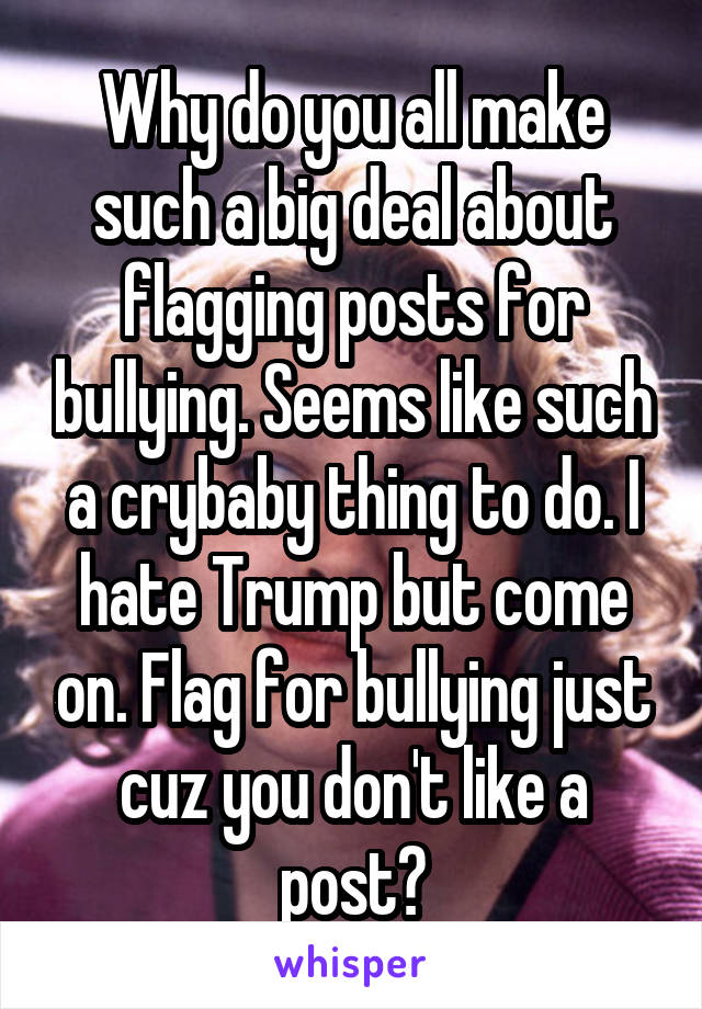 Why do you all make such a big deal about flagging posts for bullying. Seems like such a crybaby thing to do. I hate Trump but come on. Flag for bullying just cuz you don't like a post?