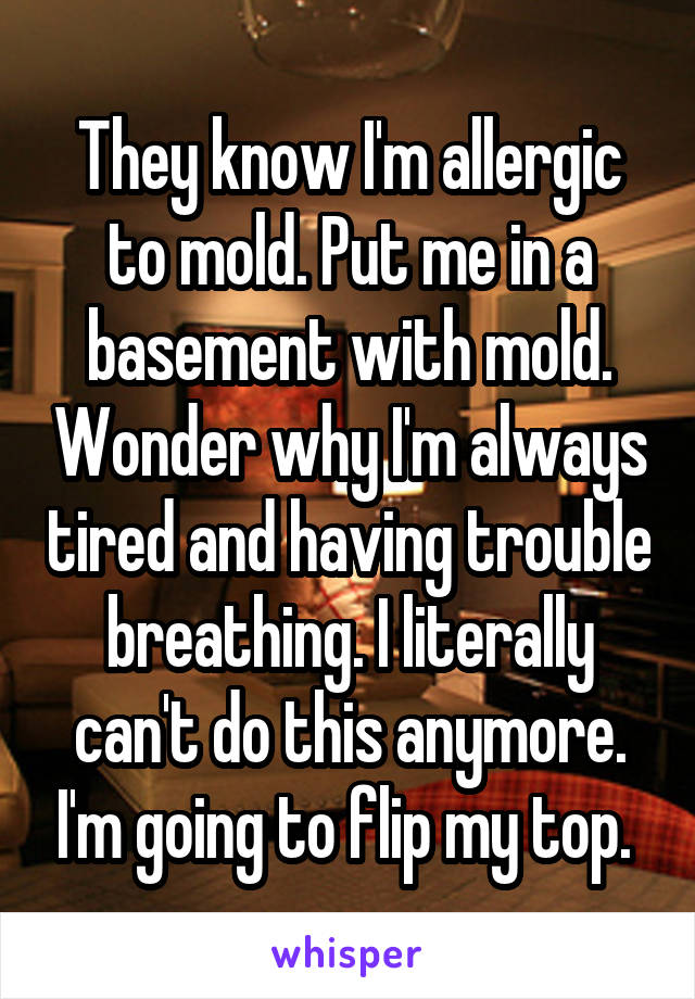 They know I'm allergic to mold. Put me in a basement with mold. Wonder why I'm always tired and having trouble breathing. I literally can't do this anymore. I'm going to flip my top. 