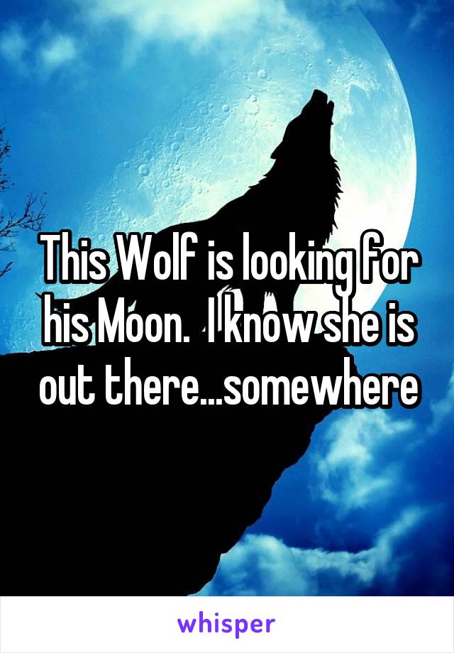 This Wolf is looking for his Moon.  I know she is out there...somewhere